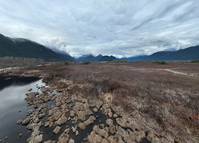 Pitt Addington Marsh, BC